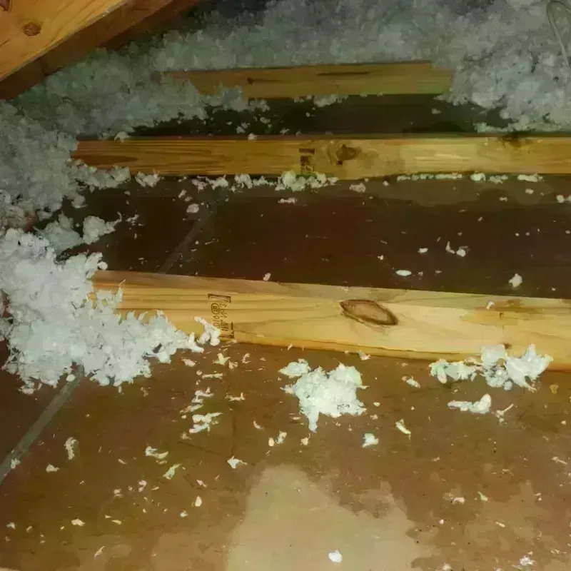 Attic Water Damage in Ronan, MT